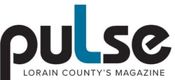 puLse logo (1)